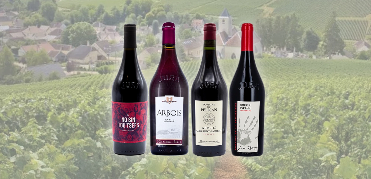 Cata Vinos Tintos Jura. 16 octubre Cata Vinos Tintos Jura. 16 octubre